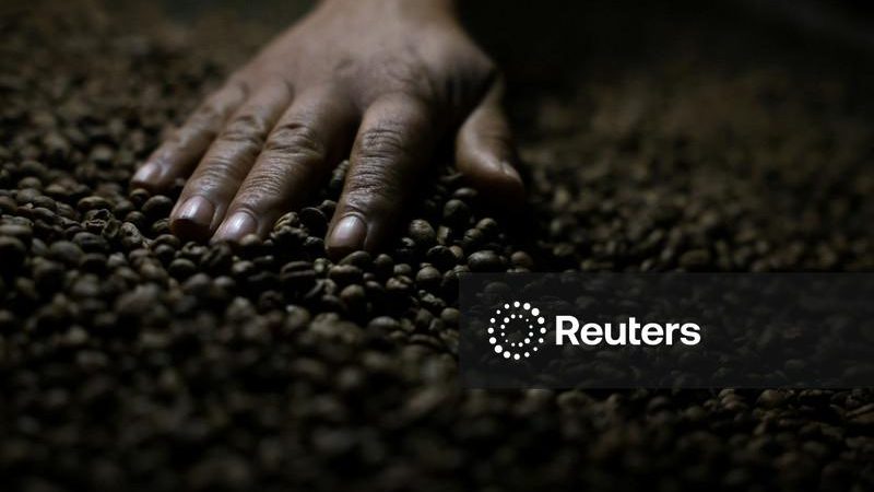 Café arábica atinge nova mínima em 10 semanas; açúcar bruto tem mínima em 2 semanas