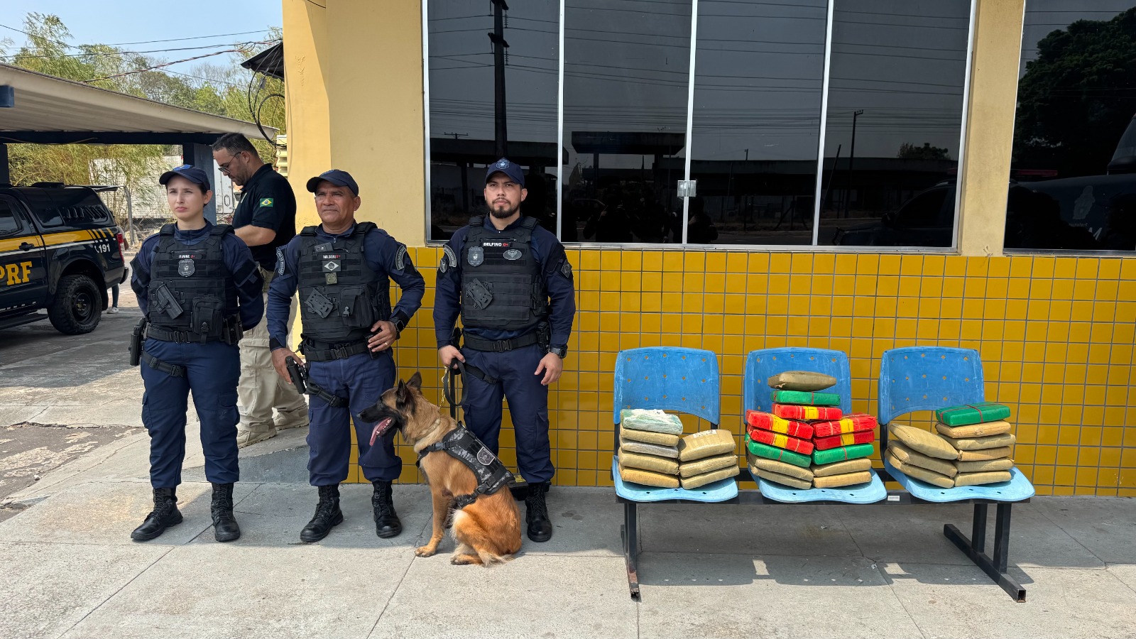Atuação da cadela Zaya da Guarda Municipal de Manaus leva à apreensão de 30 quilos de entorpecentes em operação integrada