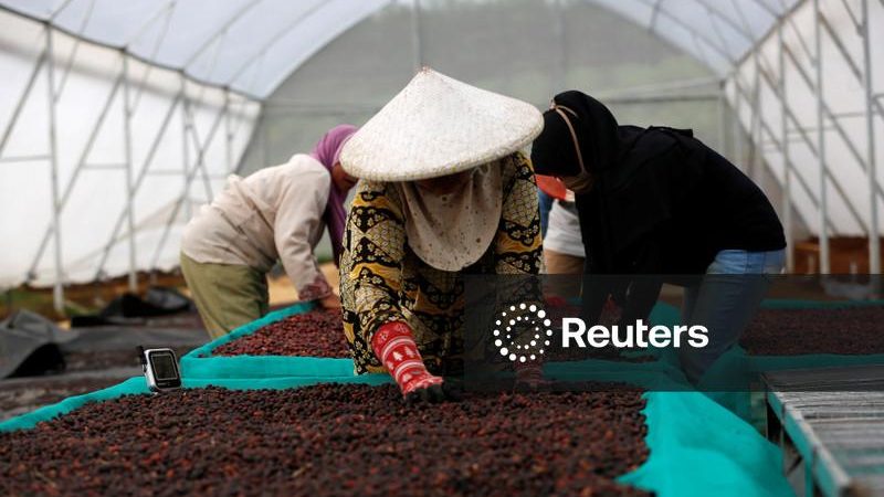 Café arábica atinge menor cotação em dois meses e meio; açúcar também recua
