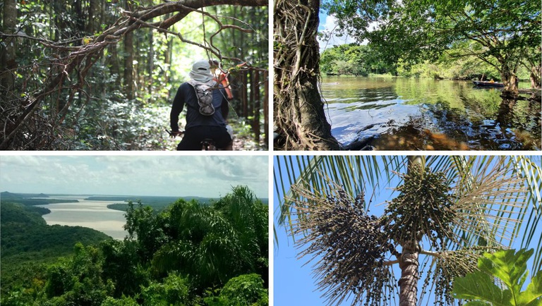 Trilha Amazônia Atlântica impulsiona ecoturismo no Pará, em corredor de Belém à Serra do Piriá
