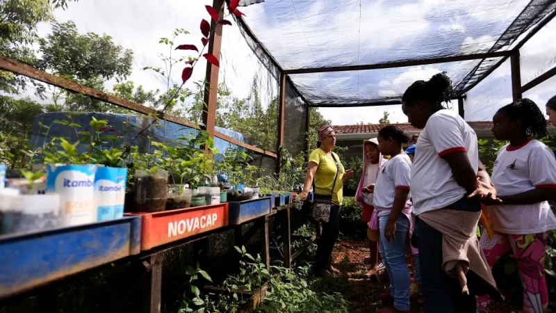 Política de educação ambiental para estudantes do ensino infantil ao médio é instituída
