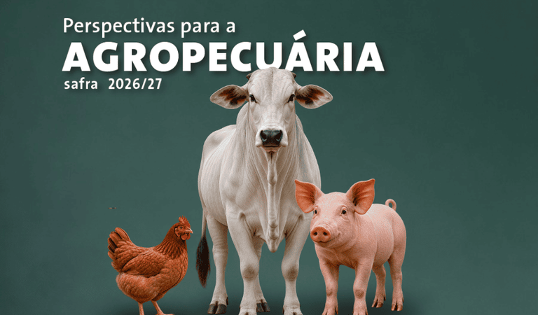 Produção brasileira de carnes deve ultrapassar 34 milhões de toneladas em 2026 e 2027