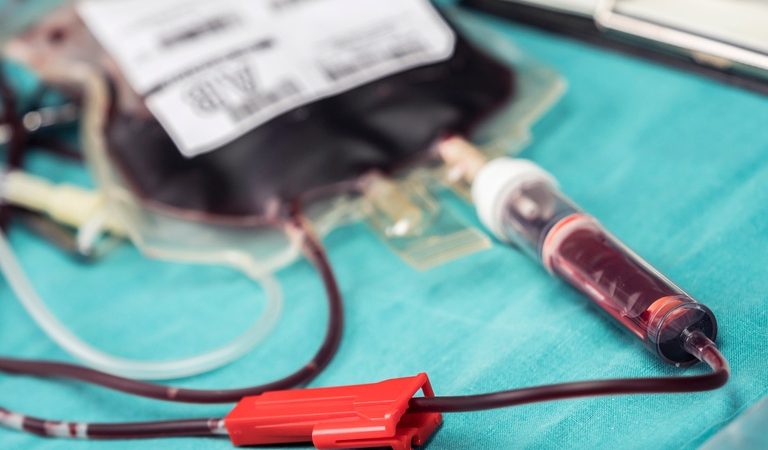 Doação de medula óssea traz esperança e vida. Conheça histórias e saiba como doar