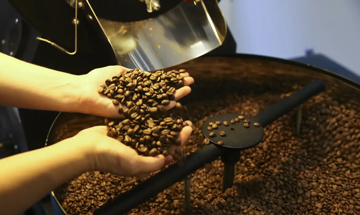 Produção de café deve fechar 2026 com 67,6 milhões de sacas, maior da série histórica