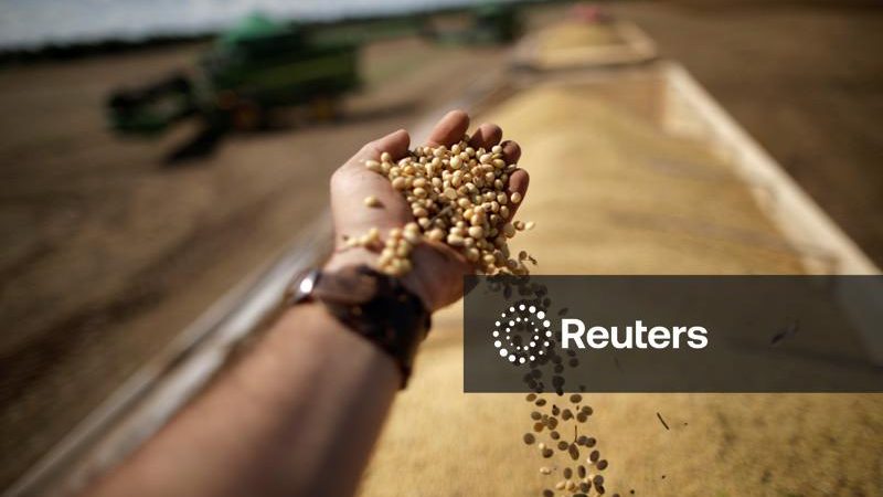 Sancionada, lei do seguro rural no Brasil traz previsibilidade apesar de vetos, dizem entidades