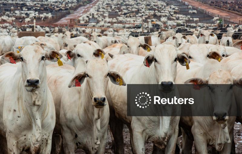 Setor de carne do Brasil segue trabalhando para reabilitar exportações à UE, diz Abiec