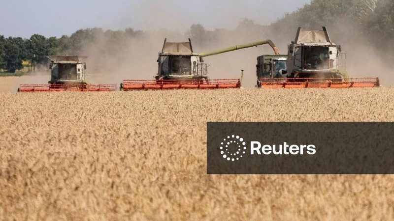 APK-Inform eleva previsão para safra de grãos da Ucrânia em 2026 e reduz exportações