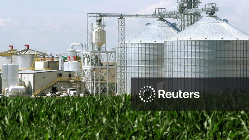 Produção global de biocombustíveis deve aumentar quase 70% até 2030 por crise no Golfo Pérsico