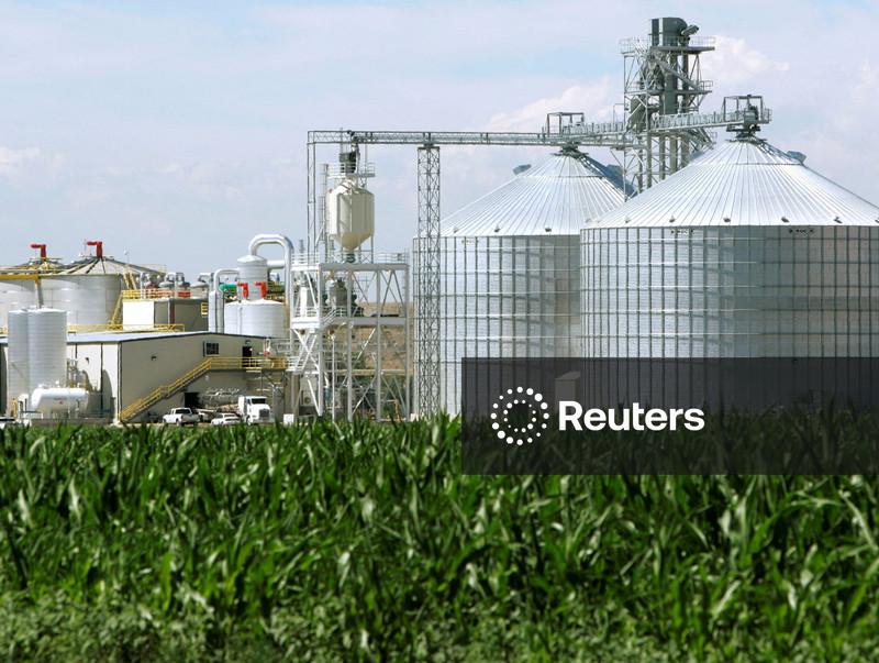 Produção global de biocombustíveis deve aumentar quase 70% até 2030 por crise no Golfo Pérsico