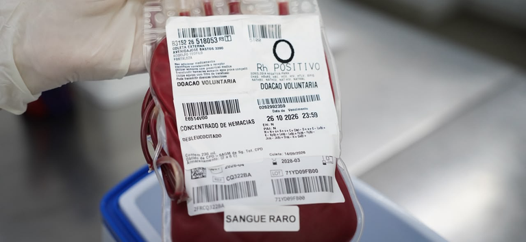 Em parceria do SUS e aéreas, sangue raro cruza o País para atender paciente em estado grave
