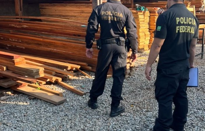 PF deflagra operação contra comércio ilegal de madeira nativa em três estados