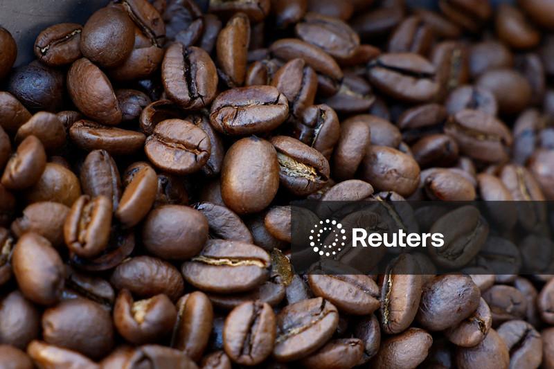 Café arábica tem maior cotação em 1 mês em meio à valorização da moeda brasileira