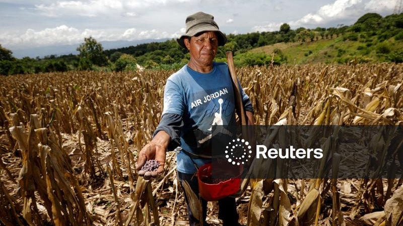 Chance de El Niño muito forte até o início de 2027 supera 83%, diz órgão dos EUA