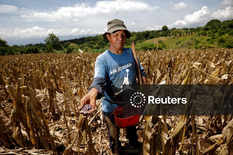Chance de El Niño muito forte até o início de 2027 supera 83%, diz órgão dos EUA