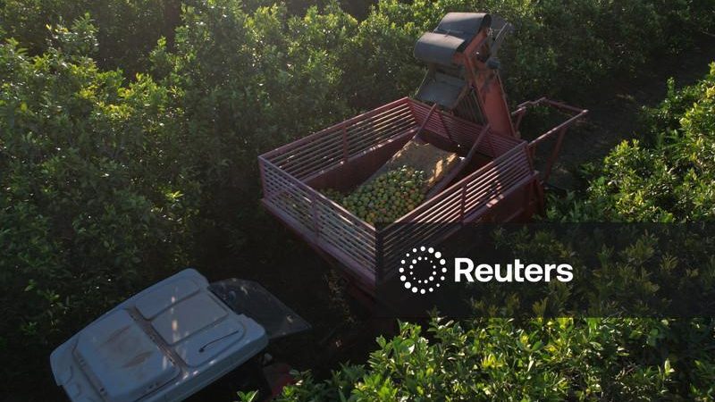 Exportação de suco de laranja do Brasil cresce quase 10% no 1º tri da safra 26/27, diz CitrusBR