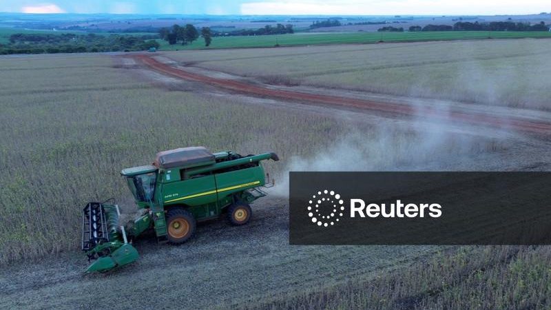 AgRural eleva previsão de safra de soja do Brasil para 182,7 mi t