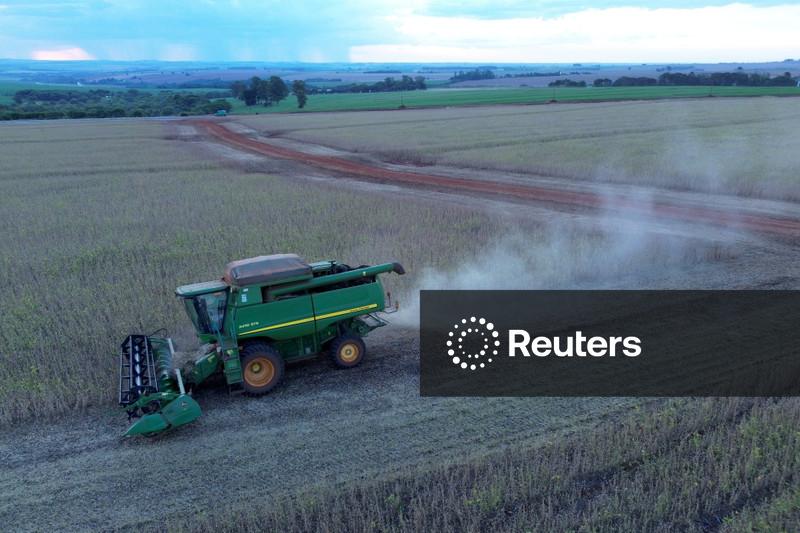 AgRural eleva previsão de safra de soja do Brasil para 182,7 mi t