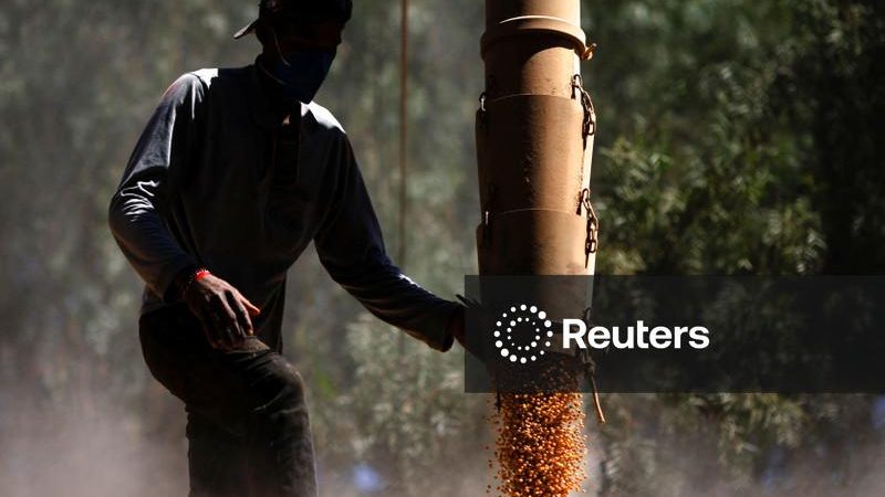 Anec eleva previsão de exportação de milho do Brasil em outubro; reduz a de soja