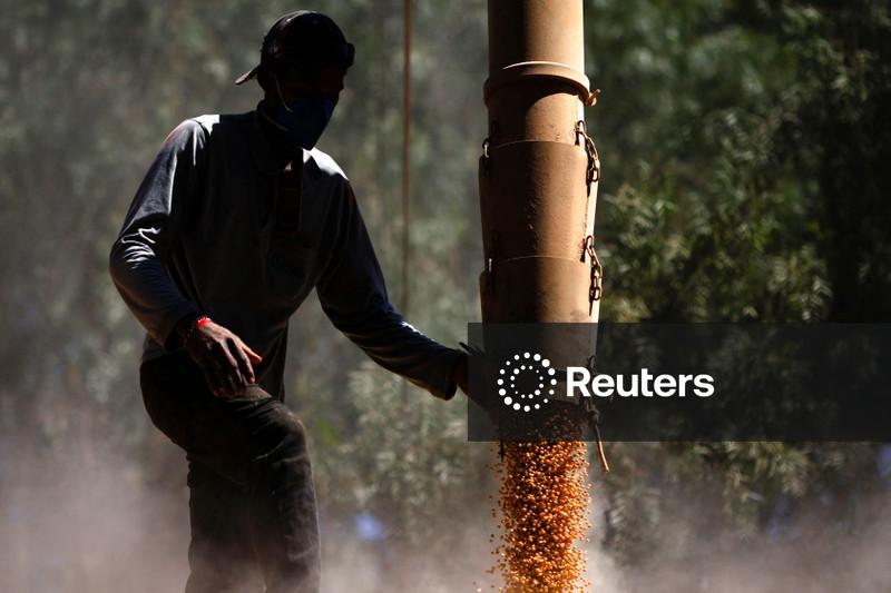 Anec eleva previsão de exportação de milho do Brasil em outubro; reduz a de soja