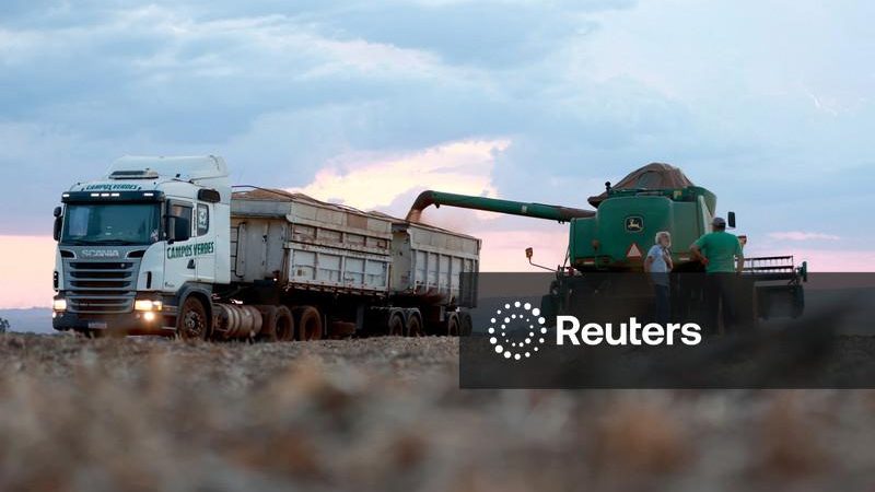 Plantio de soja atinge 7,3% da área no Brasil, registra atraso anual, diz AgRural