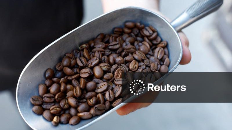 Café arábica recua após atingir máxima em quase 6 semanas; cacau também cai