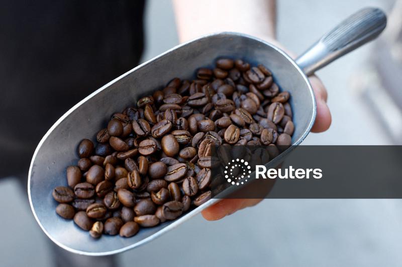 Café arábica recua após atingir máxima em quase 6 semanas; cacau também cai