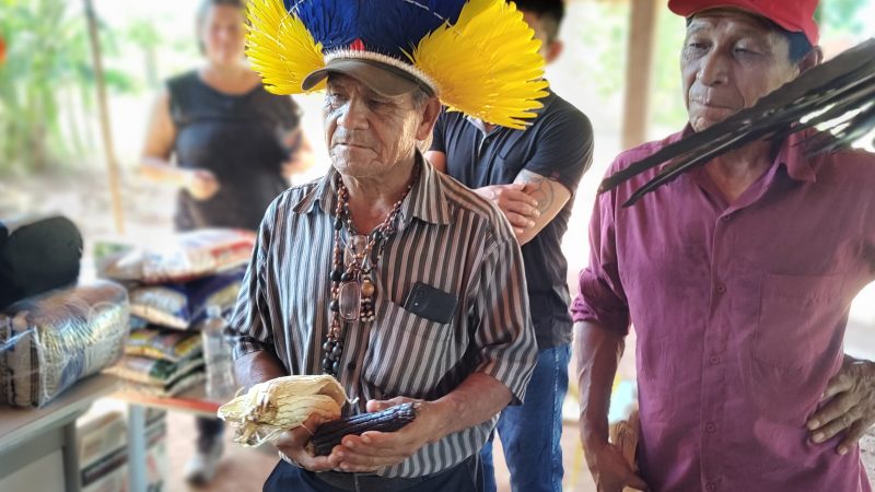 Trabalho e ciência: milho sagrado volta a germinar em aldeias Avá Guarani no PR