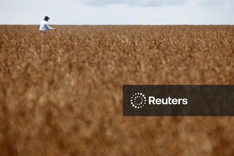 Plantio de soja no Brasil alcança 26% da área estimada, diz AgRural