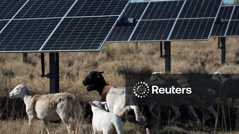 Novas regras de Trump dificultarão acesso de agricultores a fundos para projetos de energia