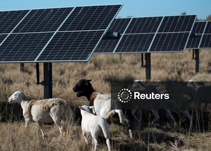 Novas regras de Trump dificultarão acesso de agricultores a fundos para projetos de energia
