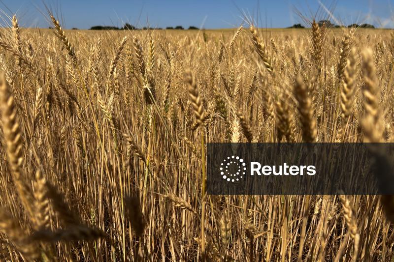 Dívida agrícola dos EUA atinge nível recorde; dados oficiais podem subestimar valor
