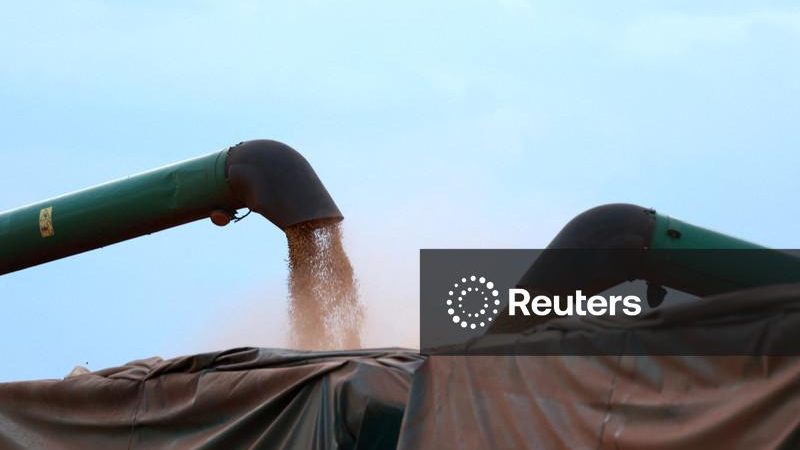 Capacidade da indústria de soja do Brasil cresce 13% e investimento mapeado soma R$7,65 bi