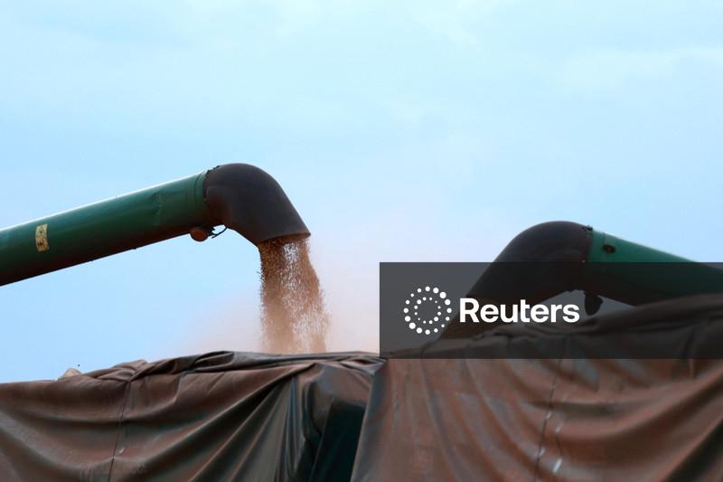 Capacidade da indústria de soja do Brasil cresce 13% e investimento mapeado soma R$7,65 bi