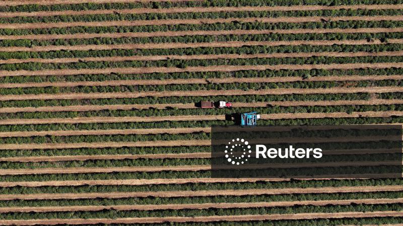 Exportação de café do Brasil cresce 3% em setembro apesar de queda nos embarques de arábica