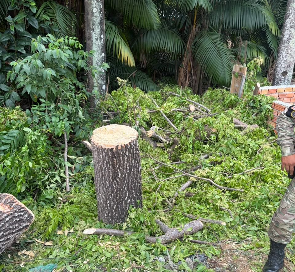 Guarda Municipal de Manaus detém indivíduos por desmatamento ilegal em Área de Preservação Permanente na zona Norte