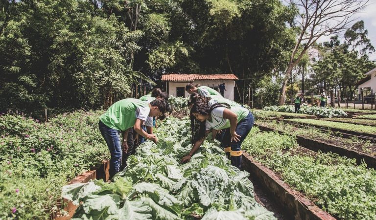 Governo aprimora compra de alimentos da agricultura familiar para a alimentação escolar