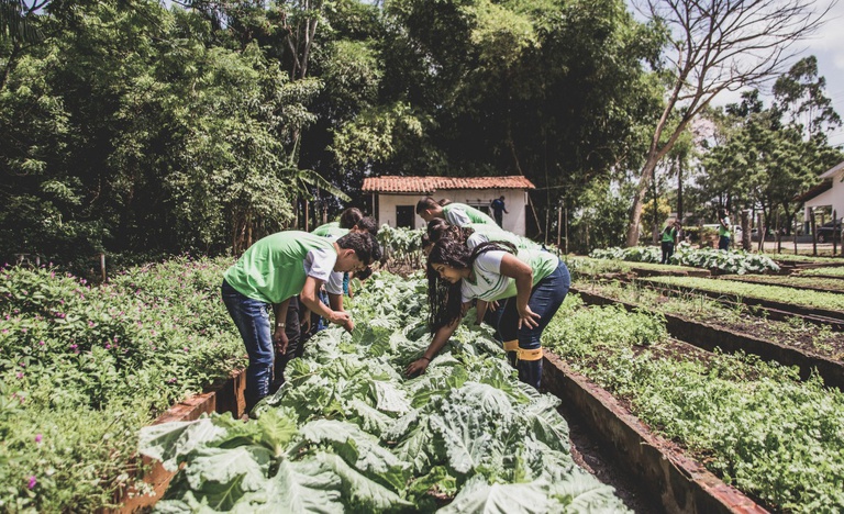 Governo aprimora compra de alimentos da agricultura familiar para a alimentação escolar