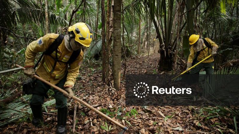 Amazônia tem menor desmatamento já registrado em quase 40 anos