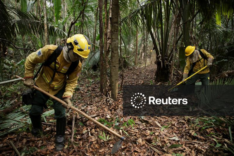 Amazônia tem menor desmatamento já registrado em quase 40 anos