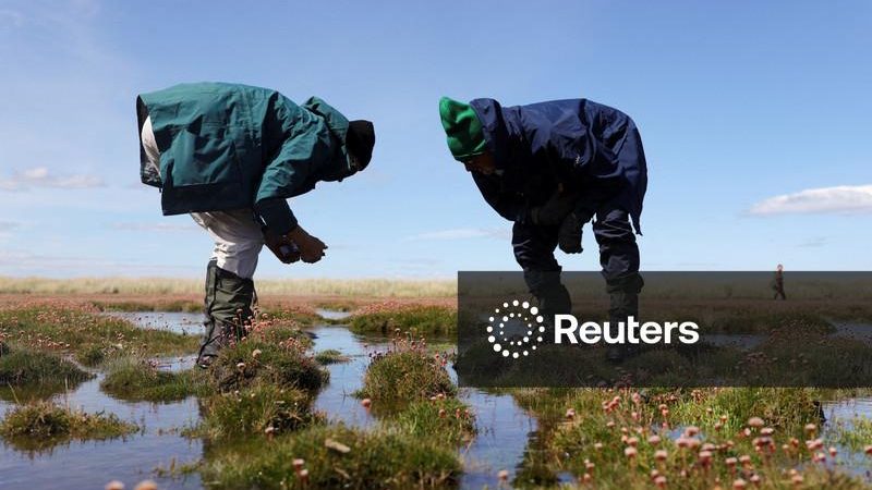 Mundo está muito aquém da meta de restauração de ecossistemas, diz ONU
