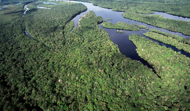 Brasil anuncia a maior queda de desmatamento na Amazônia e no Cerrado desde 1988