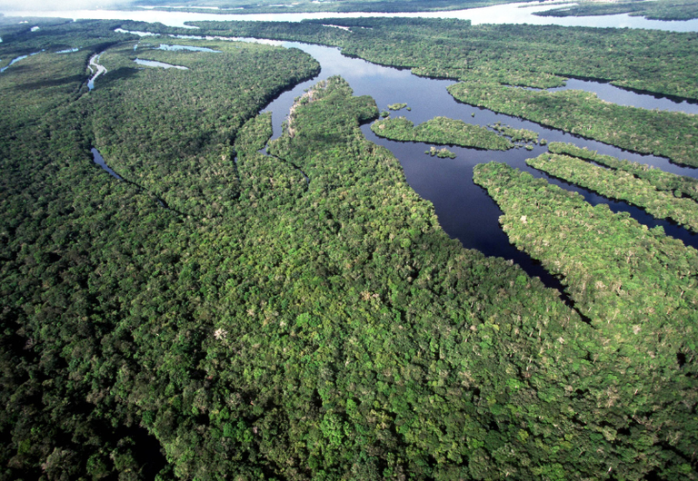 Brasil anuncia a maior queda de desmatamento na Amazônia e no Cerrado desde 1988