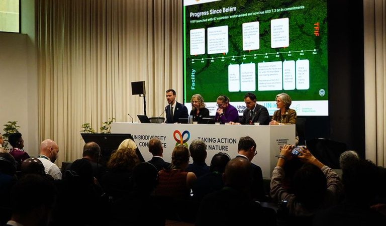 Fundo Florestas Tropicais para Sempre tem mais US$ 500 milhões anunciados pelos Países Baixos