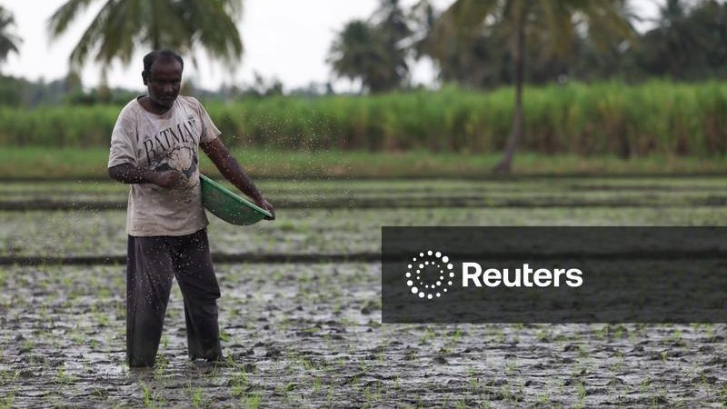Índia diz que acordo comercial com EUA não prejudicará seus agricultores