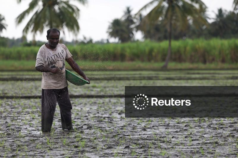 Índia diz que acordo comercial com EUA não prejudicará seus agricultores