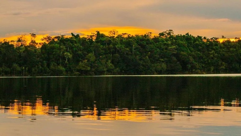 Complexo da Amazônia Central: patrimônio mundial protege mais de 6 milhões de hectares