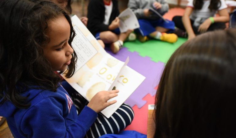 Livros: escolas públicas de educação infantil podem escolher acervo de 2027-2029
