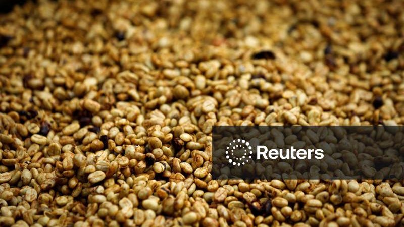 Café arábica atinge maior nível em quase 6 semanas